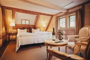 Hotel Villa Sorgenfrei  - Chambre