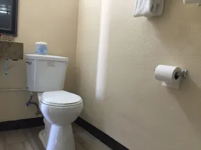 Ace Budget Motel - Bathroom