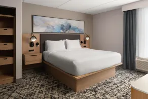 Hilton Garden Inn Richmond South/Southpark - Chambre