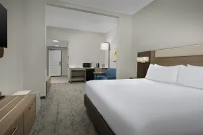 Holiday Inn Express Hotel & Suites Greensboro - Airport Area by IHG - Chambre