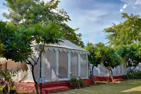 Ranthambore Tiger Resort by Park Tree - Camera