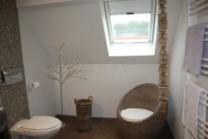 Les Myosotis Chambres d'hôtes - Sarreguemines - Badeværelse