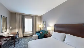 Hilton Garden Inn Detroit/Novi - Chambre