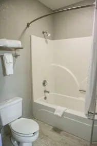 Mockingbird Inn & Suites - Bad