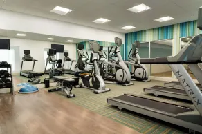 Holiday Inn Express & Suites Braselton West by IHG - Fitnesscenter