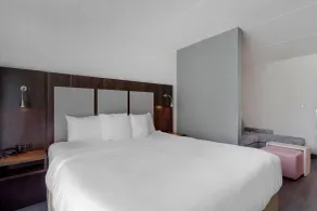 Comfort Suites Mt Juliet-Nashville Area - Room