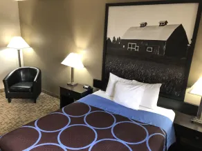 Super 8 by Wyndham Boise - Chambre