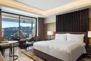 JW Marriott Mussoorie Walnut Grove Resort & Spa - View from room