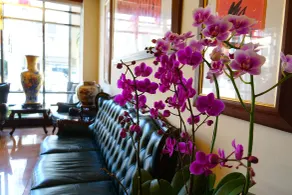 East Commercial Affairs Hotel - Hall