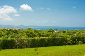 有棵樹特色民宿The Tree - View from room