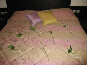 Hotel Tolo - Chambre