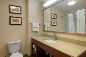 Comfort Inn & Suites, Odessa I-20 - Salle de bain