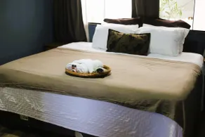 Pé na Areia Abraão - Room