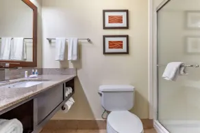Comfort Inn & Suites Lake Norman - Badeværelse