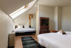 ibis Brussels Waterloo - Room
