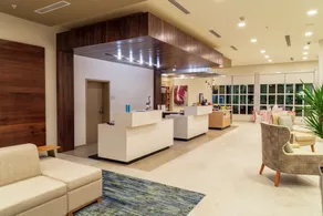 Hilton Garden Inn Tampa-Wesley Chapel, FL - Réception