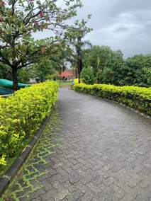 Jumbo Paradise 1 BHK Luxury Lake View Cottage - Hall