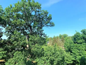 Les Camelias - Ausblick vom Zimmer