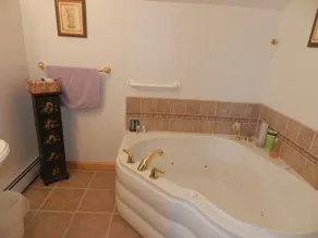 Berkshire Mountain House - Bagno