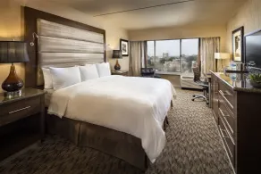USC Hotel - Room