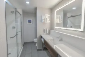 Hampton Inn By Hilton Santa Clarita-Valencia - Salle de bain