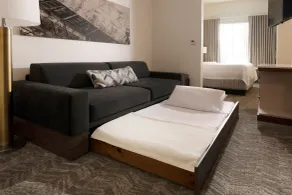 SpringHill Suites by Marriott Austin The Domain Area - Room