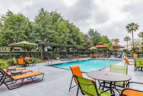 La Quinta by Wyndham Tomball - Piscine