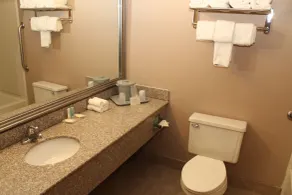 Quality Inn Lockport - Bathroom