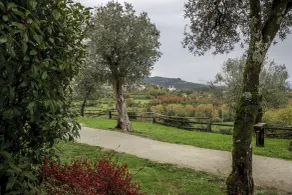 Quinta do Rapozinho - View from room