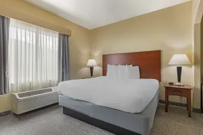 Best Western Franklin Town Center Hotel & Suites - Værelse