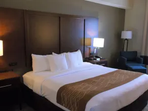 Comfort Inn & Suites Seguin - Chambre