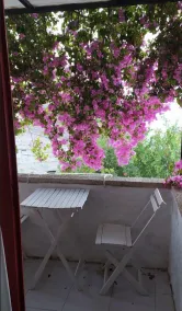 Narcicegi Alacati - Utsikt fra rommet
