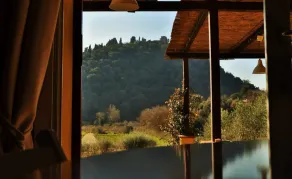 Podere L'Olmaia - Vue de la chambre