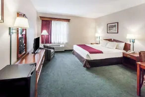 Baymont by Wyndham New Buffalo - Chambre