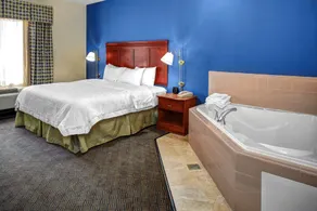 Hampton Inn Coldwater - Zimmer