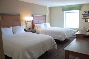 Hampton Inn Big Rapids - Chambre