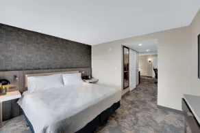 Hilton Garden Inn Toronto/Brampton - Chambre