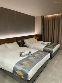 Skyport Hotel - Room