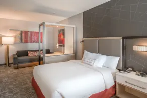SpringHill Suites Dallas Central Expressway - Room