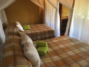 Hotel Green Mountain Turrialba - Habitación
