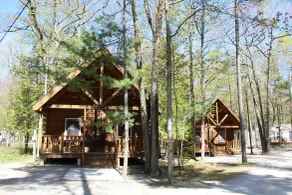 Tranquil Timbers Yurt 3 - Værelse