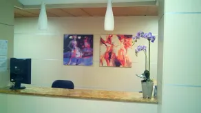 Hotel Ribera - Réception