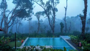 amã Stays & Trails Alpenhof , Coorg - Piscine