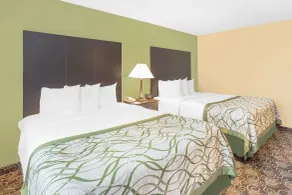 Baymont by Wyndham Holland - Room