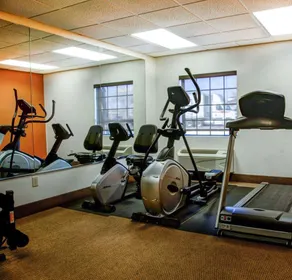 Comfort Inn Bessemer Birmingham South - Salle de remise en forme