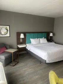 Hampton Inn by Hilton Kingston - Værelse