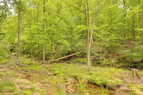 Off-grid Creekside Cabin Near Lake Jordan - Interiør