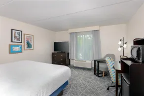 Hampton Inn & Suites Pensacola/Gulf Breeze - Chambre