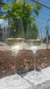 Kragemann Hotel & Vinothek - Restaurant