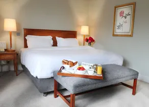 Ballymascanlon Hotel and Golf Resort - Habitación
